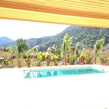 Bellerofon Villa Çıralı Eksteriør bilde